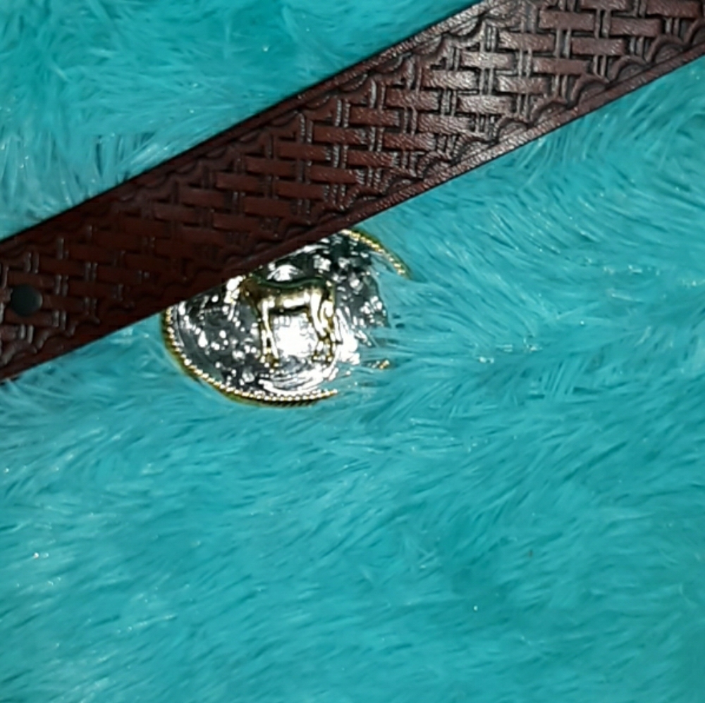 Belt - Picture 3 of 6